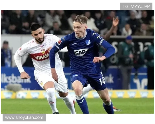 霍芬海姆续约哈伊达里稳固防线